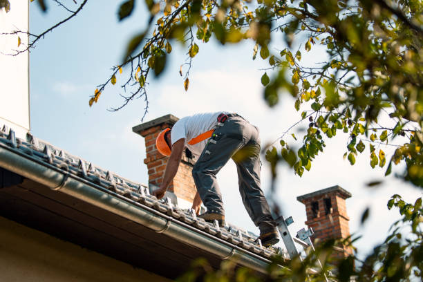 Best Roof Repair Services  in Bridgeport, WV