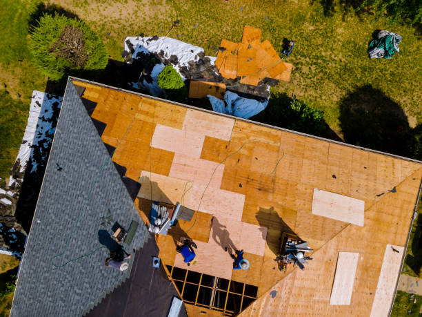 Best Flat Roof Repair Services  in Bridgeport, WV