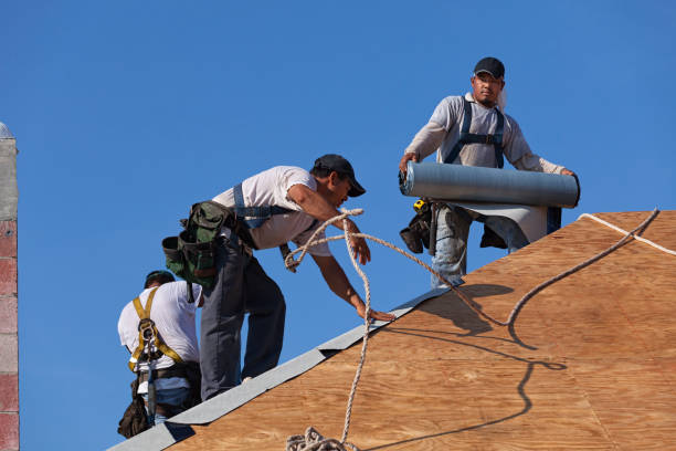 Best Roof Repair Services  in Bridgeport, WV