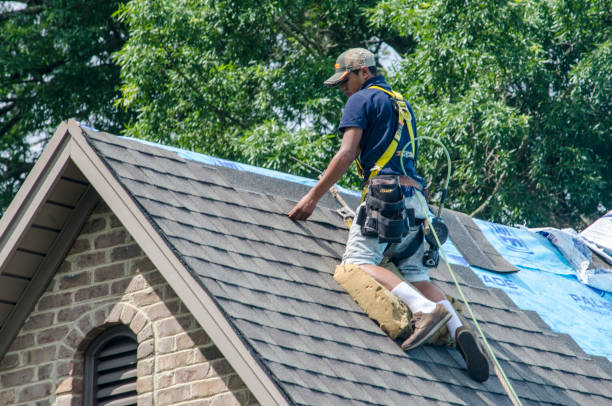 Best Roof Replacement Cost  in Bridgeport, WV